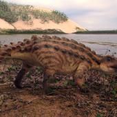 Chili : découverte d’un nouveau dinosaure à la queue inédite 
