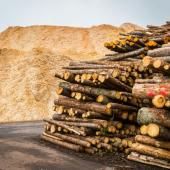 L&#039;industrie des granulés de bois en Estonie sur le banc des accusés