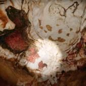 _en_see_video_of Le jumeau virtuel de la grotte de Lascaux