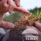 Voir la vidéo de Tourbières : pièges à carbone 