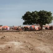 Dans la Corne de l&#039;Afrique, la sécheresse menace 13 millions de personnes 