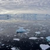 En Antarctique, une température supérieure de 30 °C aux normes saisonnières