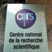 Guerre en Ukraine : le CNRS suspend sa coopération avec la Russie