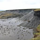 Climat : en Europe, la fonte inéluctable de tourbières gelées riches en carbone