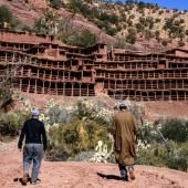 Au Maroc, le plus ancien rucher au monde déserté par les abeilles 