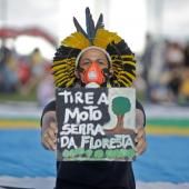 Les terres des populations autochtones au Brésil, rempart contre la déforestation