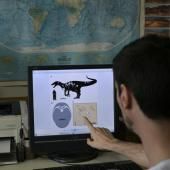 En Argentine, un dinosaure prédateur livre des secrets