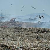 La pollution fait toujours neuf millions de morts prématurés dans le monde