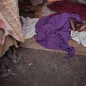Dans la Corne de l’Afrique, la sécheresse menace 20 millions de personnes