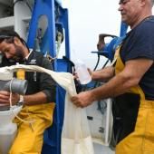 Des scientifiques et la Marine répertorient la biodiversité océanique