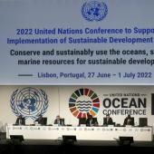 Les Nations unies déclarent « l’état d’urgence des océans »