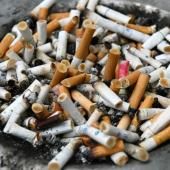 L’industrie du tabac, un « poison » aussi pour l’environnement, selon l’OMS 
