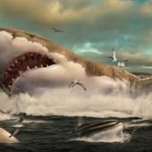 Un des plus grands carnassiers marins a disparu au profit du grand requin blanc