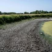 En France, une sécheresse inédite en juillet