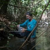 Inventaire de la faune et la flore en Amazonie