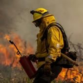 Un incendie géant se propage à toute allure en Californie 