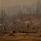 Climat : le monde ne se prépare pas suffisamment au pire, alertent des scientifiques