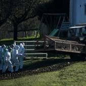 Grippe aviaire : automne sous tension dans les élevages