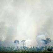 Brésil : les surfaces incendiées auraient doublé en un an