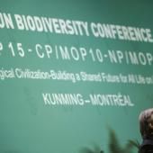Coup d’envoi de la COP15, le sommet de la décennie pour sauver la biodiversité