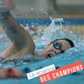 Voir la vidéo de Natation : au top le jour J !