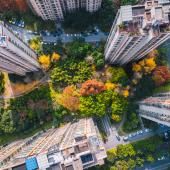 Des forêts urbaines pour des villes habitables ?