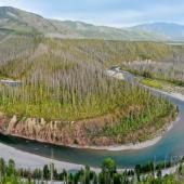  Un procès historique pour le climat s&#039;ouvre dans le nord-ouest des Etats-Unis 