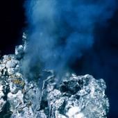 Voir la vidéo de Tout un écosystème découvert dans les abysses du Pacifique