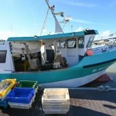 Verdir la flotte de pêche de l'UE, un défi coûteux et de longue haleine