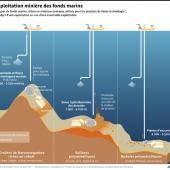 Entre Hawaï et le Mexique, une extraordinaire biodiversité dans les grands fonds marins