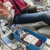 Moelle osseuse, sang : pourquoi le don des hommes est crucial