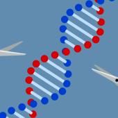 See video of Crispr-Cas9: finally a tool for treating rare diseases?