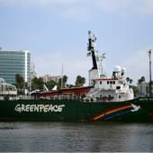 La surpêche s’aggrave et démontre l’urgence du traité sur la haute mer, selon Greenpeace 