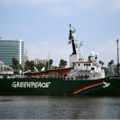 La surpêche s’aggrave et démontre l’urgence du traité sur la haute mer, selon Greenpeace