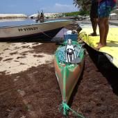 See video of How Guadeloupe is coping with invasive seaweed