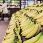 La banane la plus populaire du monde pourrait-elle bientôt disparaître ? 