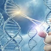 Crispr-Cas9: combining hope and caution
