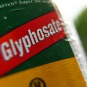 Le glyphosate réautorisé dans l’UE pour 10 ans