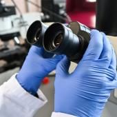 Net rebond de Mycoplasma pneumoniae, une bactérie à l'origine d'infections respiratoires