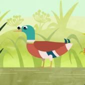 Voir la vidéo de Le canard, la méga flotte