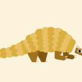 Voir la vidéo de Le pangolin, verrouillage automatique