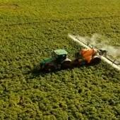 Quelles alternatives aux pesticides ?