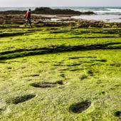 Découverte au Maroc d&#039;empreintes humaines datant de plus de 100 000 ans 