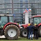 Le Parlement européen ouvre la voie aux « nouveaux OGM »