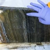 L’anthropocène ne constituerait pas, finalement, une nouvelle époque géologique