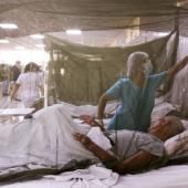 Les ravages de la dengue au Pérou, infections record au Brésil et en Argentine