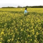 Les émissions de protoxyde d'azote mettent en péril les objectifs climatiques