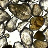 Voir la vidéo de Une IA retrace l’évolution de la Terre grain par grain
