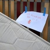Punaises de lit : les autorités alertent les consommateurs sur un insecticide interdit en France