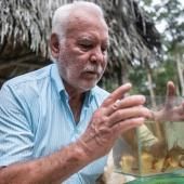 Guainia : la région colombienne qui orne les aquariums du monde 